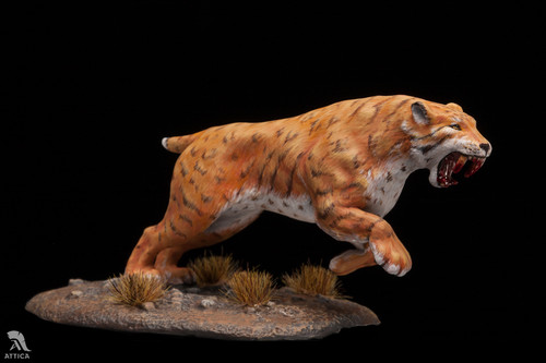 Säbelzahntiger urzeit - säbelzahntiger,
