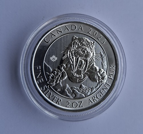 Dollars canada ice age - ice, 2023
